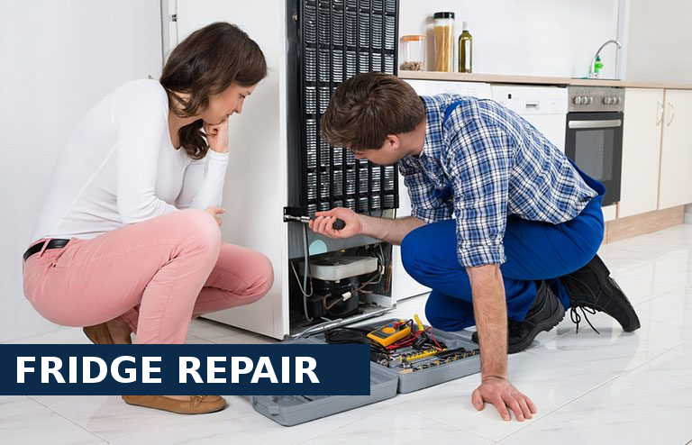 Fridge Repair Lower Edmonton